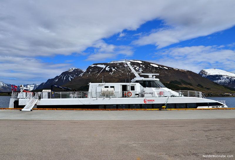 www.NordicWannabe.com Sortland, Walsafari, Wal Safari, Andenes, Lofoten, Andenes, Costa Kreuzfahrt Schiff neo Romantica