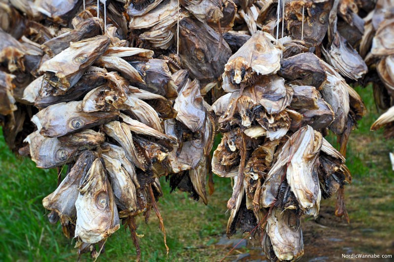 Lofoten, Inselgruppe Norwegen, weißer Strand, rote Holz-Häuser, Stockfisch, Natur, Wandern, Angeln, Hennigsvær, Leknes, Reine, Svolvær, Urlaub, Reise, Kreuzfahrt, Skandinavien, Costa