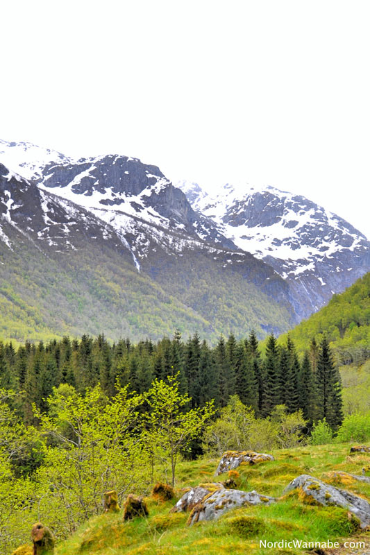 Skandinavien-Blog, Haugesund, Hauglandet, Olden, Olen, Bohrinsel, Norwegen, Skandinavien, Blog, Reise, Urlaub, Kreuzfahrt, Costa, Rovær, Langfossen, Akkrafjord,