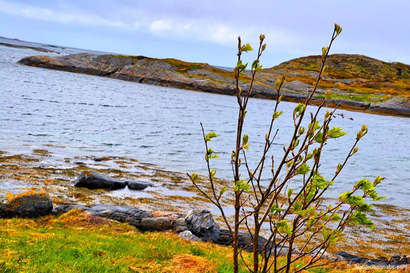 Kristiansund, Norwegen, Blog, Skandinavien, Costa, Kreuzfahrt, NeoRomantica, Atlantikstraße, Mai, Kernes Stabkirche