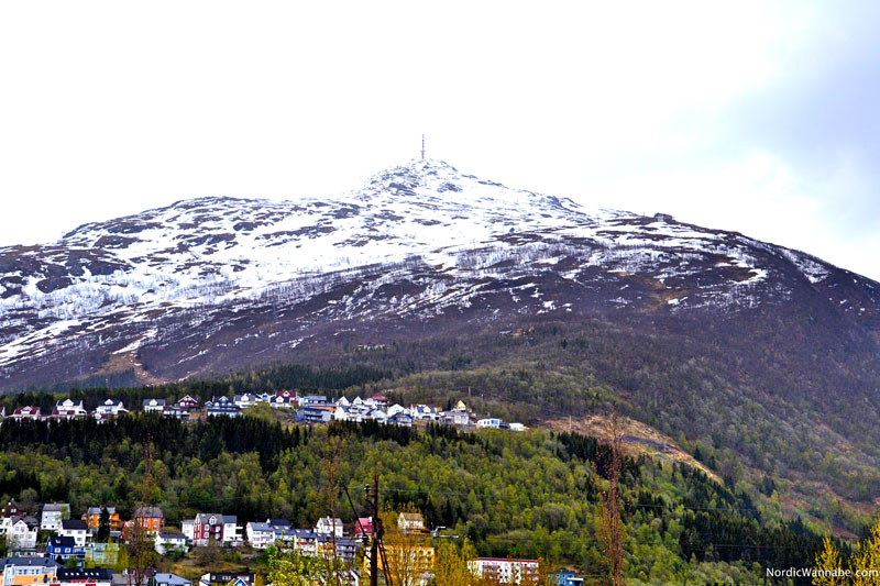 Narvik, Norwegen, Nordnorwegen, Blog, Skandinavien, Weltkrieg, Ofotbahn, Ofotfjord, Polarpark, Kreuzfahrt, Reisebericht, Costa neoRomantica, Schiff, Reisebericht.