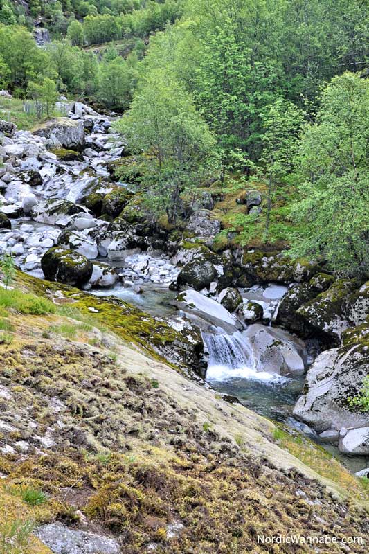 Olden, Stryn, Norwegen, Skandinavien, Blog, Kreuzfahrt, NeoRomantica, Costa, Berge, Schnee, Natur, Wandern, Eis, Gletscher, Wald, Reisetipps