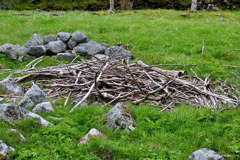Olden, Stryn, Norwegen, Skandinavien, Blog, Kreuzfahrt, NeoRomantica, Costa, Berge, Schnee, Natur, Wandern, Eis, Gletscher, Wald, Reisetipps