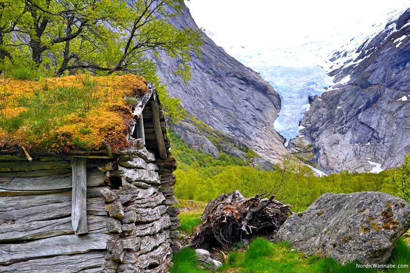 Olden, Stryn, Norwegen, Skandinavien, Blog, Kreuzfahrt, NeoRomantica, Costa, Berge, Schnee, Natur, Wandern, Eis, Gletscher, Wald, Reisetipps