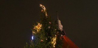 Lucia Weihnachtsmarkt, skandinavisch, Island, Finnland, Dänemark, Norwegen, Schweden, Alte Kulturbrauerei, Glühwein, Glögg, Prenzlauer Berg, Honig, Lappland