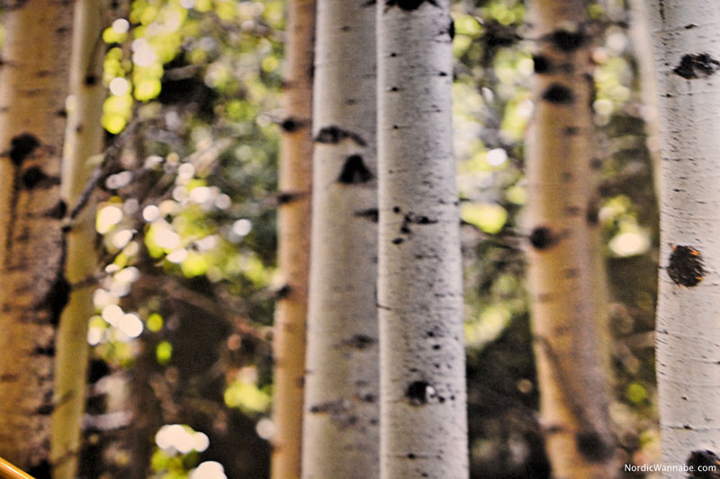 Scandic Hotel, Berlin, gut, Hotelbewertung, Skandinavien, Schweden, Blog, Test, Bewertung, Kurfürstendamm, Nordic