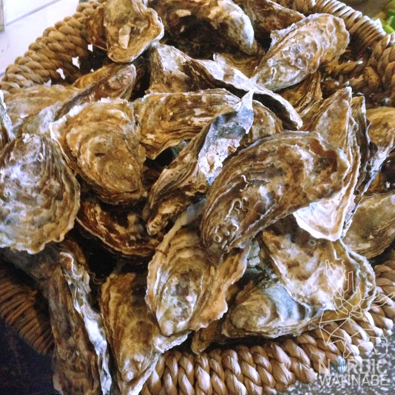 Inselurlaub Dänemark, Faergen, Novasol, Vistdenmark, Hamburg, Catch of the day, danish Food, Skandinavien, Event, Blog, Seafood