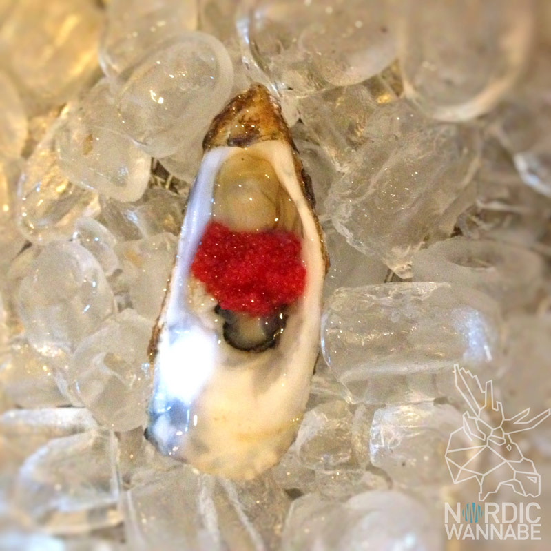 Inselurlaub Dänemark, Faergen, Novasol, Vistdenmark, Hamburg, Catch of the day, danish Food, Skandinavien, Event, Blog, Seafood