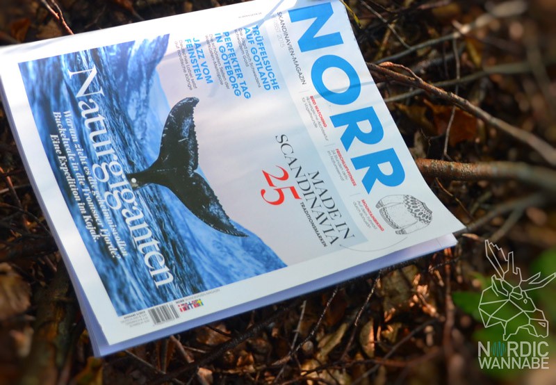 Urlaubsliste Schweden, Must-haves Schweden, Schweden, Reise, Blog, Rucksack, Hose, Lakritz, Schuhe, Boots, Mütze, Handschuhe, Karohemd, Flanellhemd, Bartwachs, Hipster,