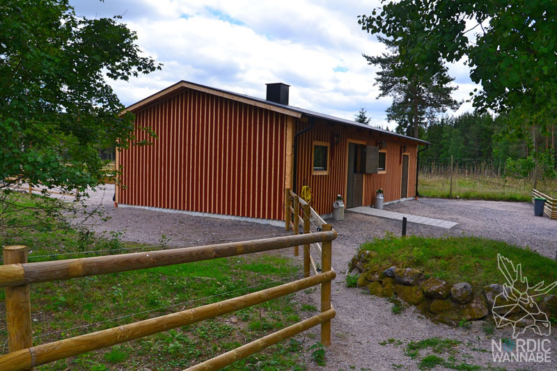 Elchpark Schweden, Grönåsen, Elche, Schweden, Skandinavien, Elche anfassen, Blog