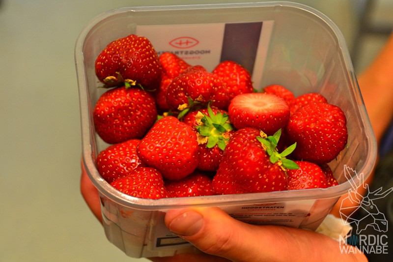 Hering, Lachs, Kartoffeln, Dill, Erdbeere, Kötbullar, Mittsommer, Midsummer, Midsommar, Schweden; Sweden, Vänersborg, Hotell Hehrne, Blog, Skandinavien, Fest, typisch schwedisch 