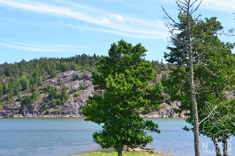 Nordens Ark, Schweden, Westküste, Kinder, Skandinavien, Blog, Zoo, Tierpark