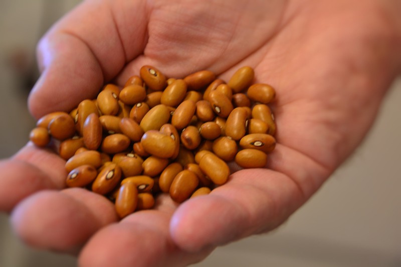 ÖLÄNDSKA BÖNCHIPS ,Öland, Ulf Maryanne Wahlquist, Chips, Crisps, Skandinavien, Food, schwedisches Essen,