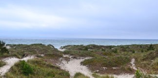 Dänemark-Event, Sandhammeren, Schönster Strand, Sachwaden, Blog, Skandinavien
