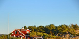 Schweden, typisch schwedisch, Landschaft, Blog, Skandinavien, See, Wald, Natur, Beeren, Rote Häuser, Schwedenhaus, Elch