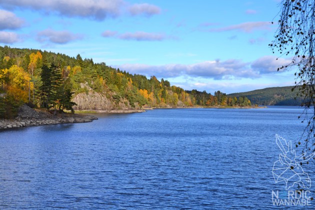 Schweden, typisch schwedisch, Landschaft, Blog, Skandinavien, See, Wald, Natur, Beeren, Rote H&auml;user, Schwedenhaus, Elch
