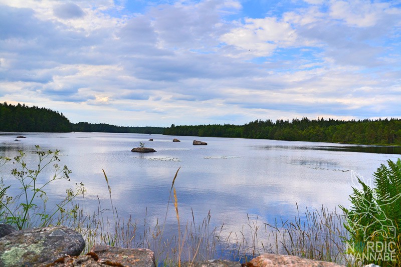 Wald, Natur, Schweden, Skandinavien, Blog, SeeWald, Natur, Schweden, Skandinavien, Blog, See