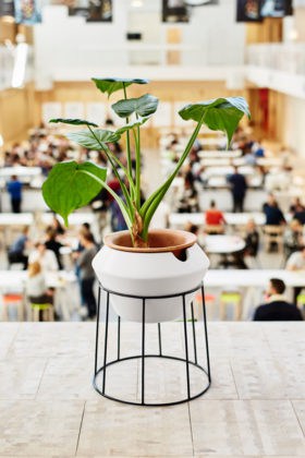 IKEA 2017, News, Neuheiten, Katalog, Ab wann erh&auml;ltlich, IKEA, Schwedisches Design, Skandinavisch Wohnen, M&ouml;bel, Interior, Skandinavien, Schweden, Blog