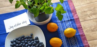 Skandinavischer Eistee, homemade Eistee, Selbst gemacht, Blaubeeren, Minze, Rezept, Sommer, frisch, Zitronen, Beeren Eistee, Eistee selber machen, Blog, Food, Schweden, Norwegen, Dänemark