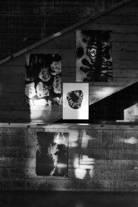 IKEA, IKEA 2017 Katalog, IKEA Katalog, Catalog, Cover, Catalogue, News, Neuheiten, limitiert, Schwedische M&ouml;bel, Skandinavisch Einrichten, Blog, Interior, Interieur , M&ouml;bel, Wohnaccessoires, Blog, Skandinavien