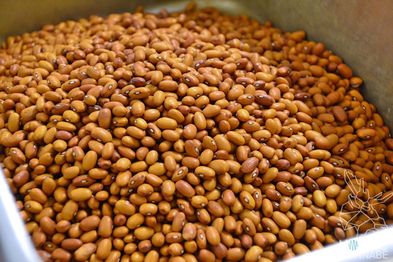 Bohnenchips, braune Bohnen, Öländska Bonchips, Öland, Schweden, Blog, Skandinavien, gesunde Chips, ökologisch, biologisch, gesund, Insel, schwedische Spezialitäten