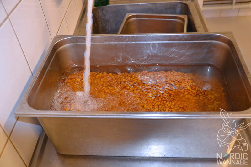 Bohnenchips, braune Bohnen, Öländska Bonchips, Öland, Schweden, Blog, Skandinavien, gesunde Chips, ökologisch, biologisch, gesund, Insel, schwedische Spezialitäten