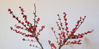 Vasen von Kähler, Kähler Design, Dänische Vasen, Lothar Lohn Tischkultur, Dänemark, Blog, Skandinavien, Omaggio, Keramik, Vasen, Design, Pearl, dänisches Design