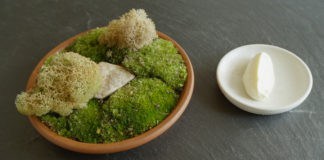 NOMA, Dokumentation, Kopenhagen, Neue nordische Küche, Kino, 2017, Freikarten, Gewinnspiel, Kooperation, Dänemark, Schweden, Norwegen, Finnland, Island, Blog, Skandinavische Rezepte, Food