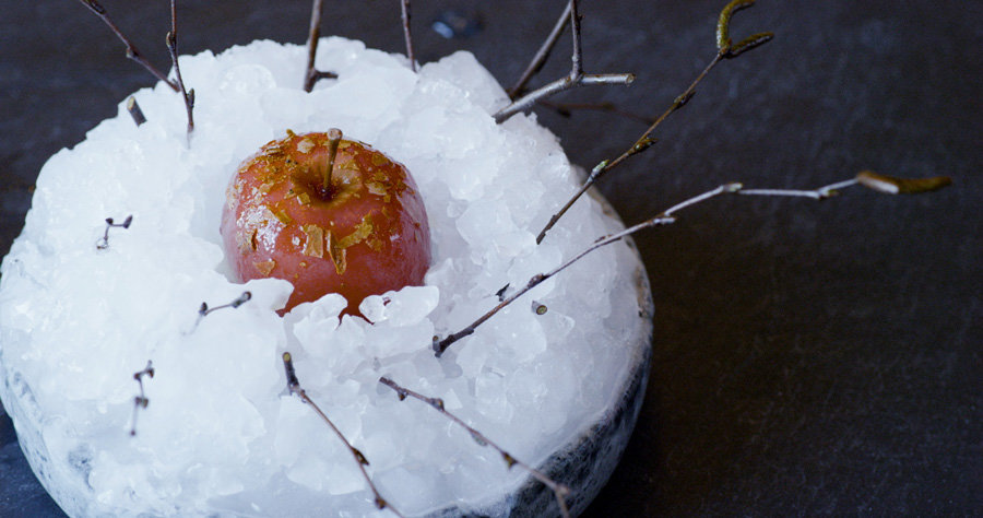 NOMA, Dokumentation, Kopenhagen, Neue nordische Küche, Kino, 2017, Freikarten, Gewinnspiel, Kooperation, Dänemark, Schweden, Norwegen, Finnland, Island, Blog, Skandinavische Rezepte, Food