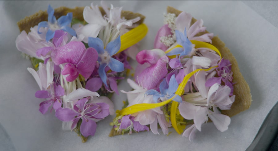 NOMA, Dokumentation, Kopenhagen, Neue nordische Küche, Kino, 2017, Freikarten, Gewinnspiel, Kooperation, Dänemark, Schweden, Norwegen, Finnland, Island, Blog, Skandinavische Rezepte, Food