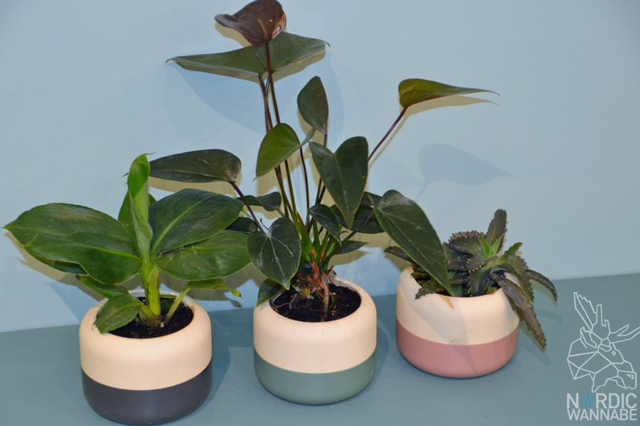 Stelton, Design, Dänisch, Dänemark, Arne Jacobsen, Interior, Blog, Skandinavien, Cylinda, Ambiente, Neuheiten, Klassiker, Architekt, Rigtig,Stelton, Design, Dänisch, Dänemark, Arne Jacobsen, Interior, Blog, Skandinavien, Cylinda, Ambiente, Neuheiten, Klassiker, Architekt, Rigtig,