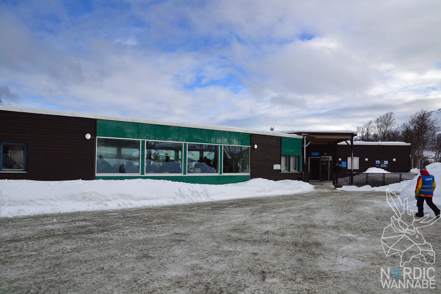 Huskies, Schlittenhunde, Tromso, Tromsø Safari, Farm, Rentiere, Schlittenhund, AIDAcara, Kreuzfahrt, Norwegen, Nordnorwegen, Skandinavien, Blog, Blogger, Schnee, Berge, Streicheln,