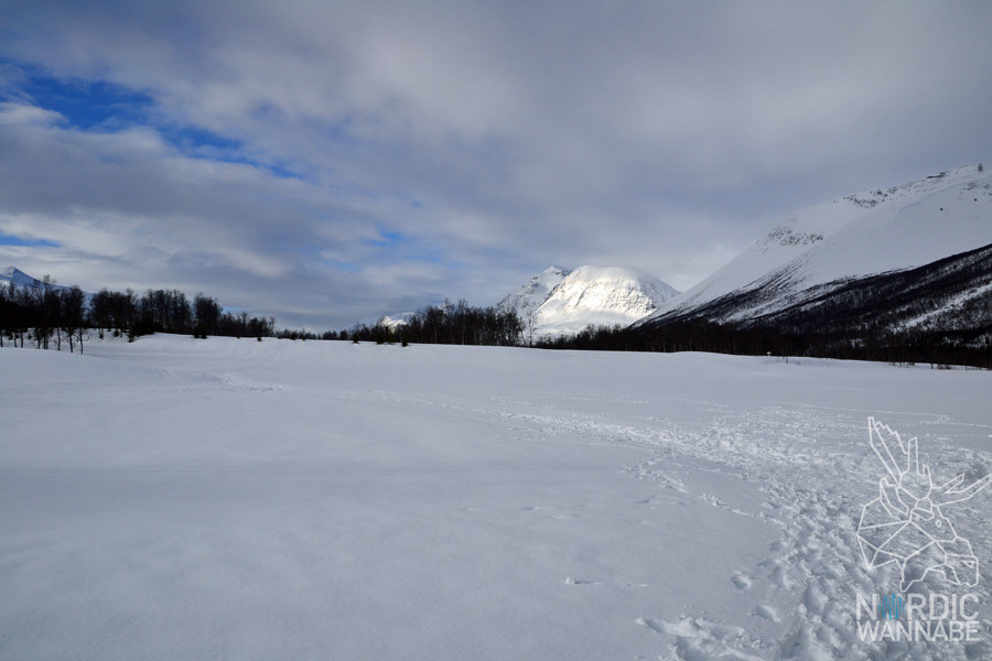 Huskies, Schlittenhunde, Tromso, Tromsø Safari, Farm, Rentiere, Schlittenhund, AIDAcara, Kreuzfahrt, Norwegen, Nordnorwegen, Skandinavien, Blog, Blogger, Schnee, Berge, Streicheln,