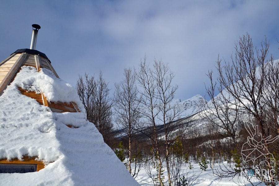 Huskies, Schlittenhunde, Tromso, Tromsø Safari, Farm, Rentiere, Schlittenhund, AIDAcara, Kreuzfahrt, Norwegen, Nordnorwegen, Skandinavien, Blog, Blogger, Schnee, Berge, Streicheln,