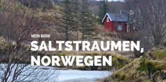 Norwegen, Skandinavien, Saltstraumen, Bodo, Bodø, Bodö, Berge, Fjorde, Blog, Skandiblog, Hygge, Roadtrip, Kreuzfahrt, AIDAcara,