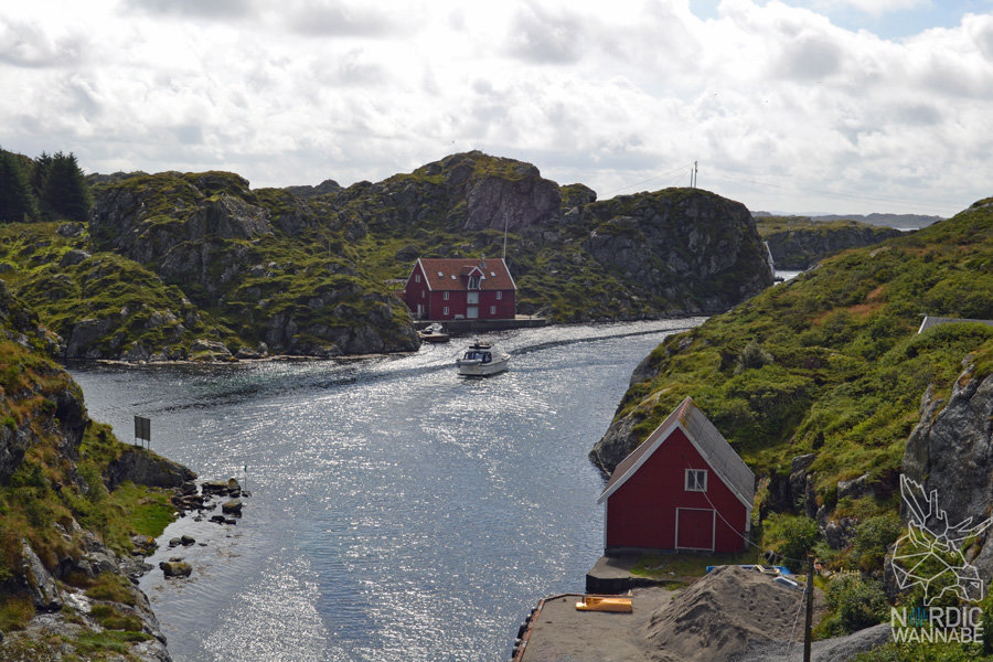 Røvær, Rovaer, Erfahrungen, Insel, Tipps, Norwegen, Skandinavien, Blog, Reiseblog, Travelblog, Haugesund, Kreuzfahrt, AIDA, AIDAcara, Skandiblog, Magisch