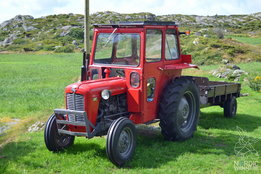 Røvær, Rovaer, Erfahrungen, Insel, Tipps, Norwegen, Skandinavien, Blog, Reiseblog, Travelblog, Haugesund, Kreuzfahrt, AIDA, AIDAcara, Skandiblog, Magisch 