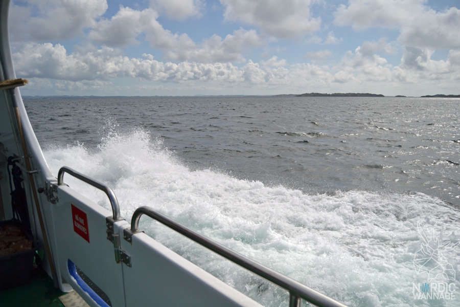 Røvær, Rovaer, Erfahrungen, Insel, Tipps, Norwegen, Skandinavien, Blog, Reiseblog, Travelblog, Haugesund, Kreuzfahrt, AIDA, AIDAcara, Skandiblog, Magisch