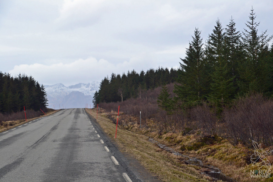 Norwegen, Skandinavien, Saltstraumen, Bodo, Bodø, Bodö, Berge, Fjorde, Blog, Skandiblog, Hygge, Roadtrip, Kreuzfahrt, AIDAcara,