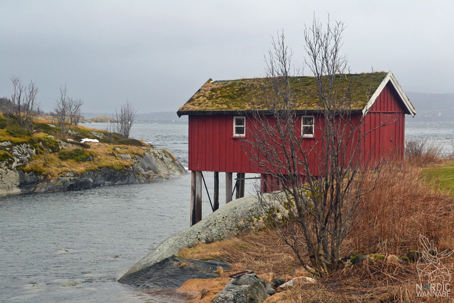 Norwegen, Skandinavien, Saltstraumen, Bodo, Bodø, Bodö, Berge, Fjorde, Blog, Skandiblog, Hygge, Roadtrip, Kreuzfahrt, AIDAcara,