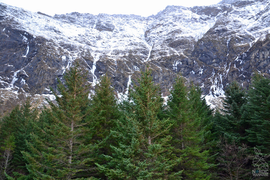 Norwegen, Skandinavien, Saltstraumen, Bodo, Bodø, Bodö, Berge, Fjorde, Blog, Skandiblog, Hygge, Roadtrip, Kreuzfahrt, AIDAcara,