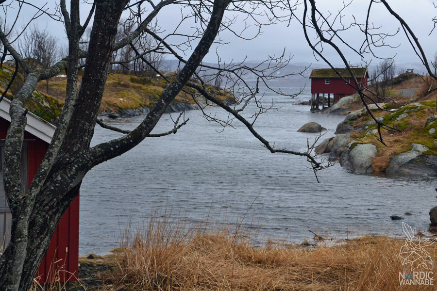 Norwegen, Skandinavien, Saltstraumen, Bodo, Bodø, Bodö, Berge, Fjorde, Blog, Skandiblog, Hygge, Roadtrip, Kreuzfahrt, AIDAcara,