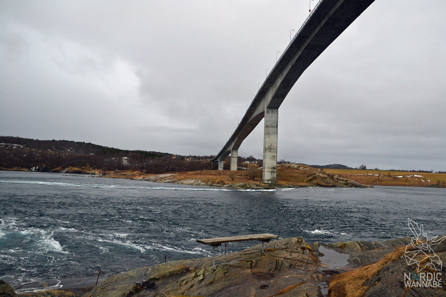 Norwegen, Skandinavien, Saltstraumen, Bodo, Bodø, Bodö, Berge, Fjorde, Blog, Skandiblog, Hygge, Roadtrip, Kreuzfahrt, AIDAcara,