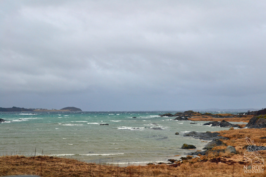 Norwegen, Skandinavien, Saltstraumen, Bodo, Bodø, Bodö, Berge, Fjorde, Blog, Skandiblog, Hygge, Roadtrip, Kreuzfahrt, AIDAcara,