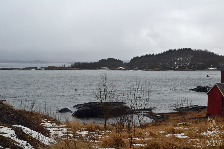 Norwegen, Skandinavien, Saltstraumen, Bodo, Bodø, Bodö, Berge, Fjorde, Blog, Skandiblog, Hygge, Roadtrip, Kreuzfahrt, AIDAcara,