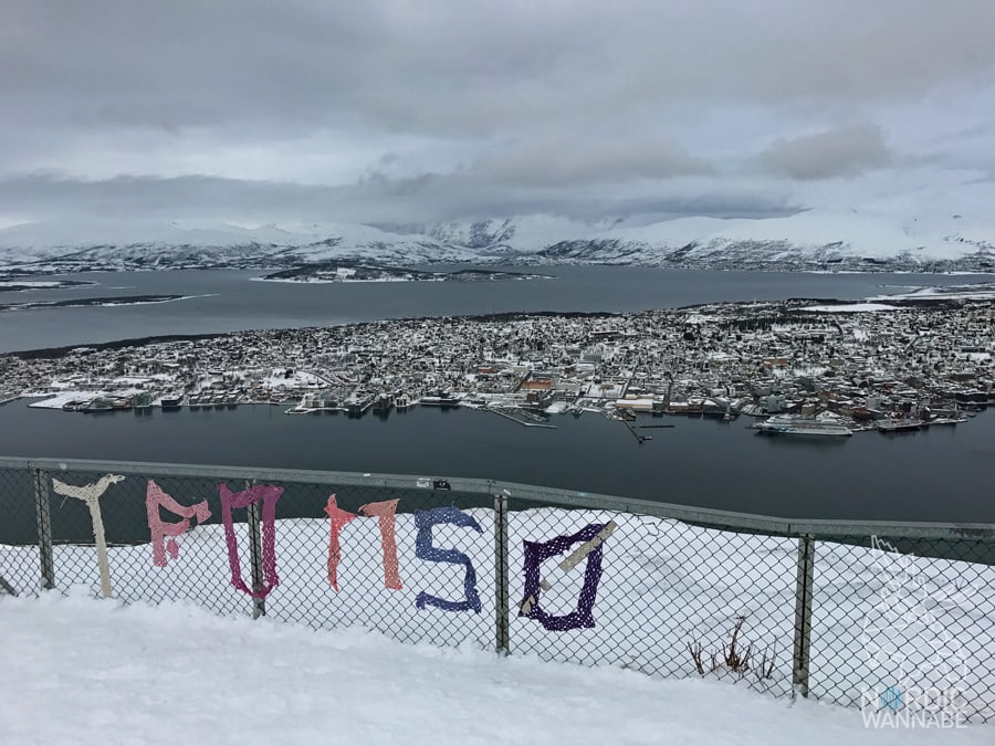 Tromso, Tromsø, Norwegen, Nordnorwegen, Nordlichtsafari, Polarlichter, Nordlichter, Wo kann man, Skandinavien, Blog, Skandiblog, Eismeer-Kathedrale, Huskies, Rentiere