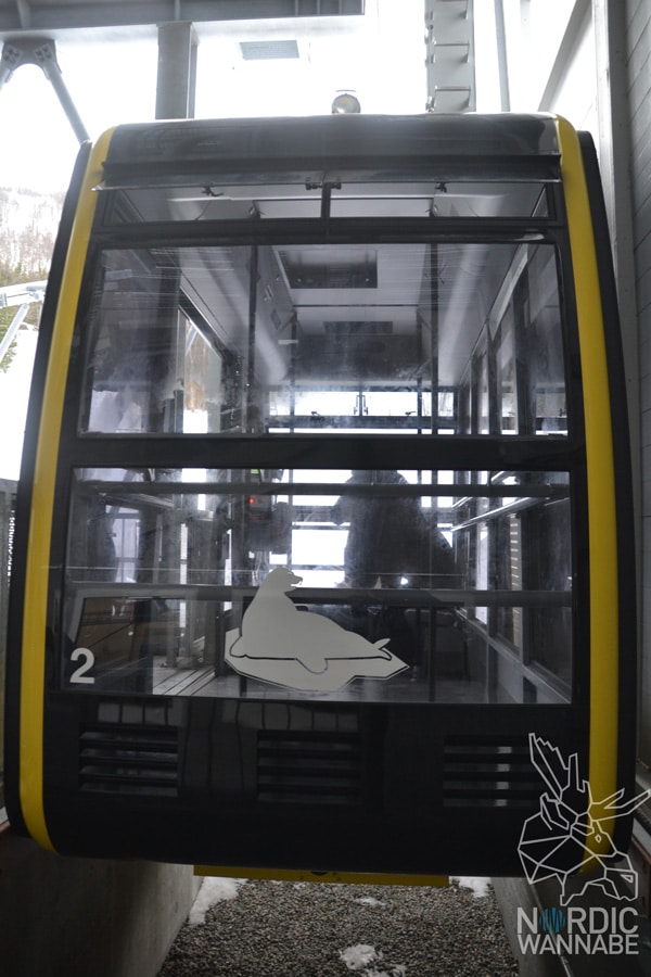 Tromso, Tromsø, Norwegen, Nordnorwegen, Nordlichtsafari, Polarlichter, Nordlichter, Wo kann man, Skandinavien, Blog, Skandiblog, Eismeer-Kathedrale, Huskies, Rentiere