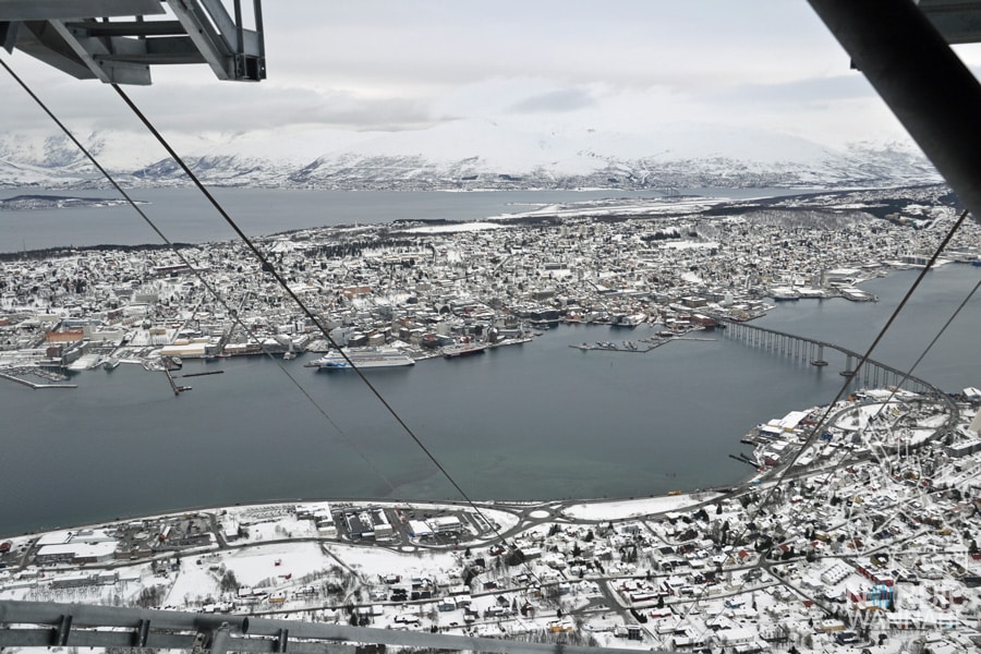 Tromso, Tromsø, Norwegen, Nordnorwegen, Nordlichtsafari, Polarlichter, Nordlichter, Wo kann man, Skandinavien, Blog, Skandiblog, Eismeer-Kathedrale, Huskies, Rentiere