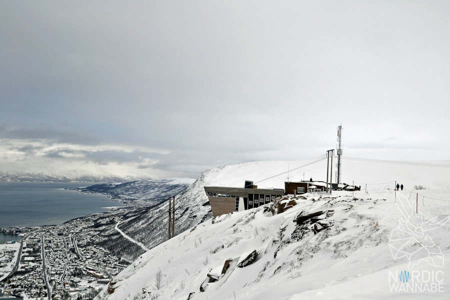 Tromso, Tromsø, Norwegen, Nordnorwegen, Nordlichtsafari, Polarlichter, Nordlichter, Wo kann man, Skandinavien, Blog, Skandiblog, Eismeer-Kathedrale, Huskies, Rentiere