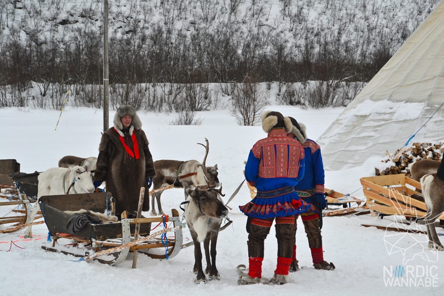 Alta, Norwegen, Nordnorwegen, Masi, Samidaorf, Rentiere, Nordlichter, Schnee, Blog, Skandinavien,